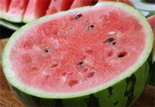 山西忻州今日麒麟瓜行情,丰收喜人，价格稳定