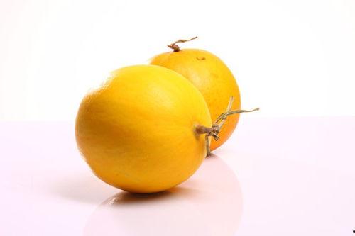 金蜜瓜今日价格,市场行情一览