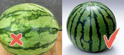 今日有什么瓜吗,娱乐圈最新瓜料大揭秘！