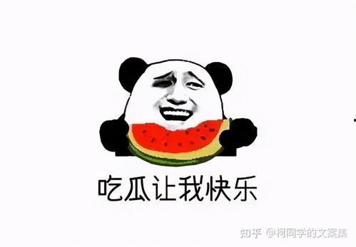 今日吃瓜文案图片搞笑,吃瓜群众欢乐无边