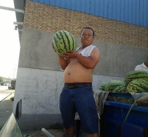 大荔今日瓜价,瓜果飘香，价格波动一览