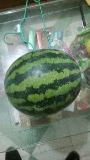 大荔今日瓜价,瓜果飘香，价格波动一览