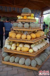 哈密瓜节今日节目,今日精彩节目亮点纷呈”