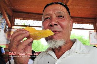 哈密瓜节今日节目,今日精彩节目亮点纷呈”