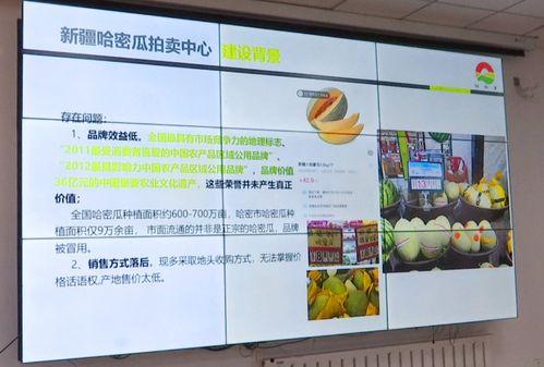 新疆哈密瓜价格表今日价格,价格行情一览