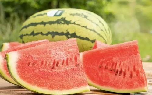 今日西沙瓜价格最新行情,最新行情一览