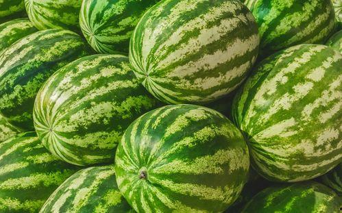 51今日吃瓜吃大瓜,揭秘娱乐圈大瓜，带你领略幕后风云