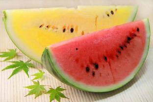 51今日吃瓜吃大瓜,揭秘娱乐圈大瓜，带你领略幕后风云