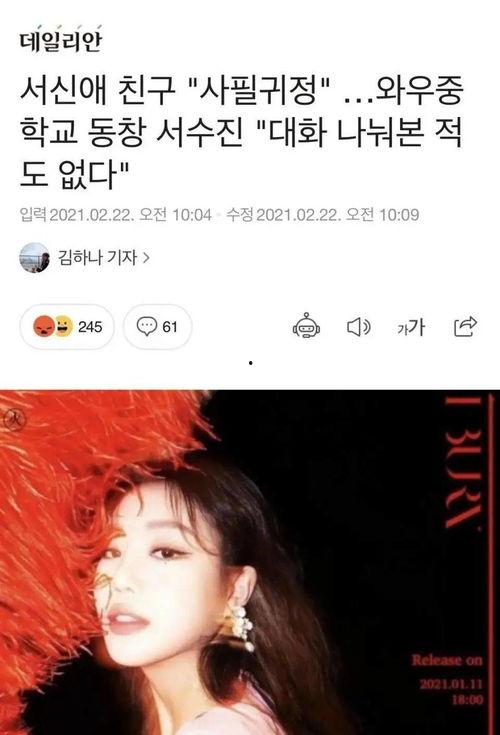 韩娱明星网红是谁,网红明星的崛起之路