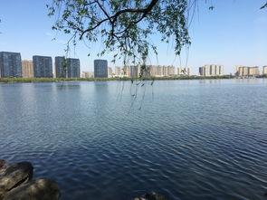 柯桥瓜渚湖今日限行,出行请注意交通管制措施