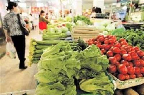 韩寺吊瓜价格今日报价查询,“今日韩寺吊瓜价格行情一览”