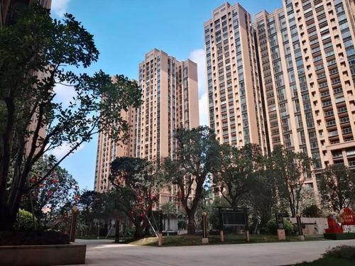 2k小吊瓜今日行情分析,今日市场分析解读