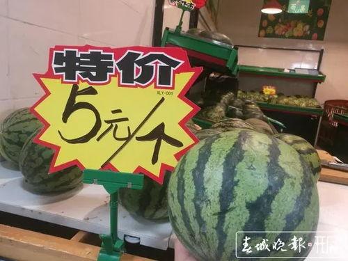 昆明小瓜今日价,新鲜上市，价格实惠，抢购从速！