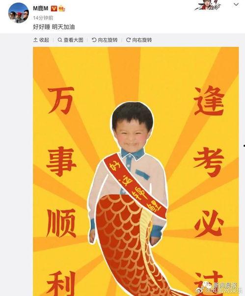 翻车明星网红是谁呀视频,是谁在“根据翻车明星网红是谁呀”视频中引发热议？