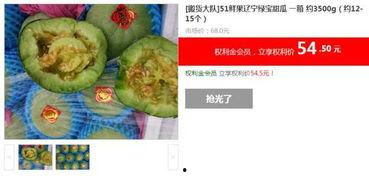 绿宝瓜今日价格行情,价格波动解析与市场趋势洞察”