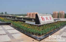 今日魏县水城瓜,夏日田园新画卷