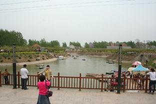 今日魏县水城瓜,夏日田园新画卷