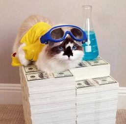 明星网红化妆图像素材,明星同款美颜术大公开