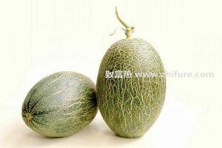 广东哈密瓜今日价格走势,今日走势解析