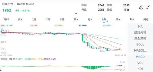 今日徐闻瓜菜行情走势图,涨跌波动一览无余