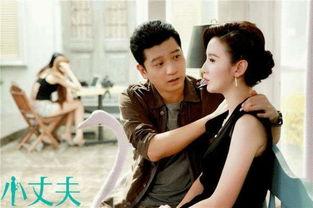 电视剧小丈夫,都市爱情与成长的温馨篇章