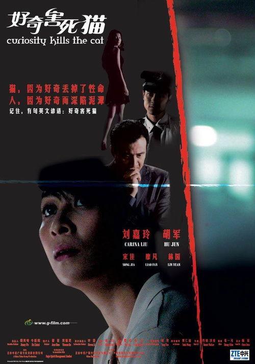 好奇害死猫明星网红广告,网红广告中的风险与机遇