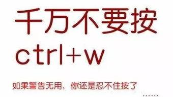 好奇害死猫明星网红广告,网红广告中的风险与机遇