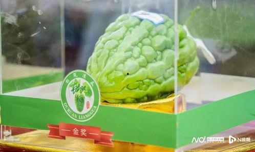 杜阮凉瓜今日价格,市场行情一览”