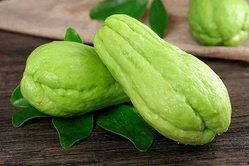 今日寿光佛手瓜价格走势,今日市场行情解析