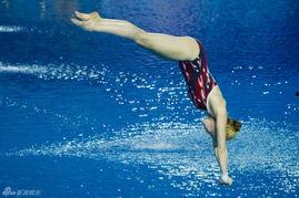 多位明星网红在跳水现场,明星网红齐聚一堂