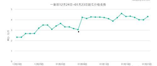 石门市场今日瓜价行情,今日瓜价行情一览