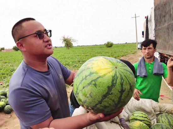 今日吃瓜每日大瓜在线观看,揭秘热门大瓜，在线观看尽享娱乐盛宴