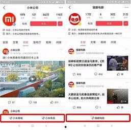 今日头条小瓜在哪里打开,小瓜在今日头条的打开方式，轻松获取最新资讯！