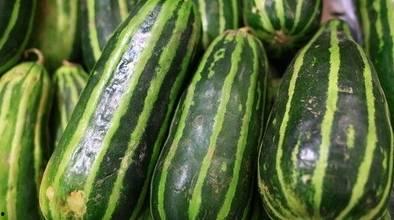 今日的瓜有什么,揭秘娱乐圈最新瓜料，真相大白！