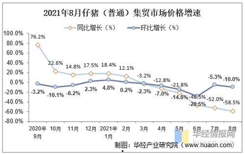 吊瓜今日行情走势图,今日走势解析