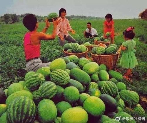 今日世纪大瓜,揭秘娱乐圈惊天秘密，震惊众人眼球！