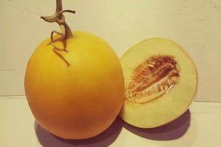 久红瓜今日价格,市场波动下的行情解析