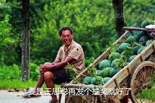 整理下今日的瓜,娱乐圈风云再起，揭秘明星幕后故事