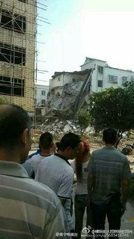 广西柳城毛瓜今日新闻,丰收季里的绿色经济新篇章