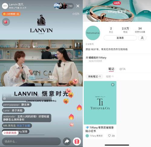 瓜州站直播今日新闻,聚焦今日热点，共话瓜州发展新篇章