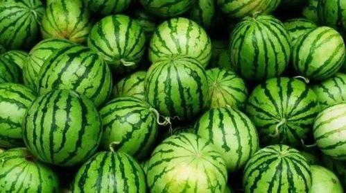 今日大瓜是什么,揭秘娱乐圈最新热点事件