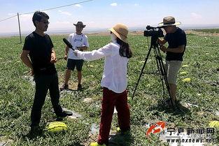 中卫瓜地今日新闻,绿色农业助力乡村振兴