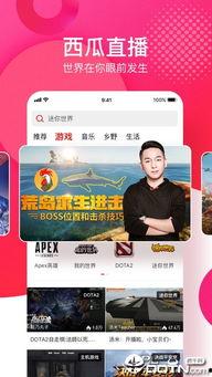 吃瓜视频今日最新版本下载苹果,解锁全新娱乐体验