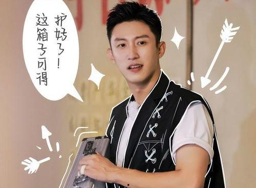 明星网红夸王鹤棣,网红明星齐点赞，魅力四射引关注