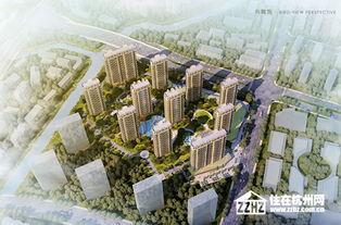 明星网红住杭州哪个小区,揭秘热门小区居住秘境