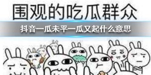 抖音今日吃瓜群众,吃瓜群众热议焦点大盘点