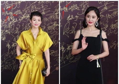 家宴明星网红有哪些名字,揭秘家宴中的明星网红风采