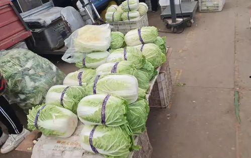 三月瓜多少钱一斤市场价今日