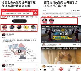 今日头条直播小瓜,揭秘直播带货新趋势