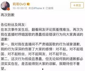 明星网红罚款多少元了